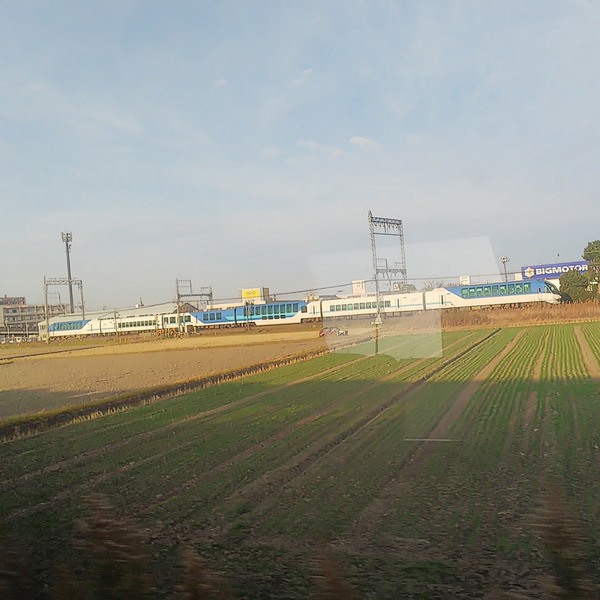 IMG_20201229_155258_493