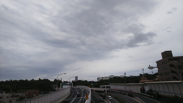 DSC_0515