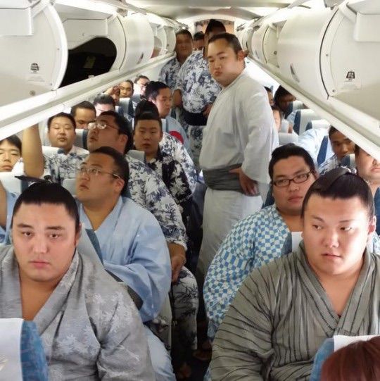 飛行機が苦手なあなたに 飛行恐怖症を克服する本 フライト 旅行 旅客機 海外 飛行機が苦手なあなたに / タキザワ，バニー【著
