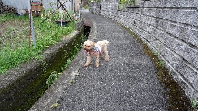 DSC01355