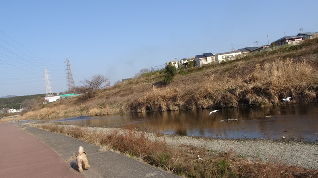 DSC05456