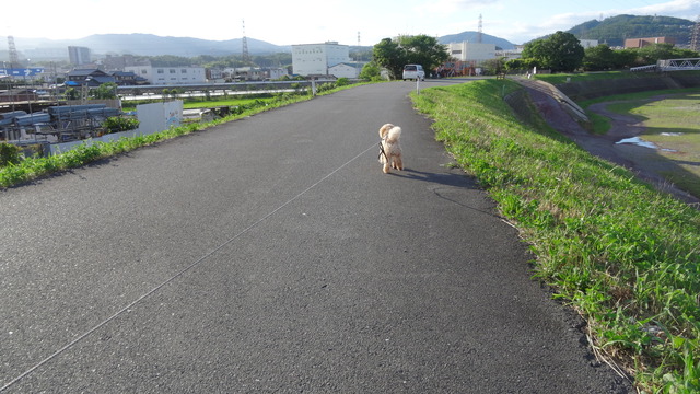 DSC00203