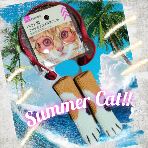 Polish_20230820_000835144