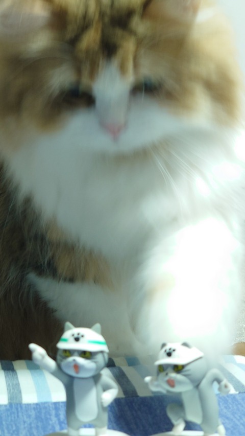 20200717_220545