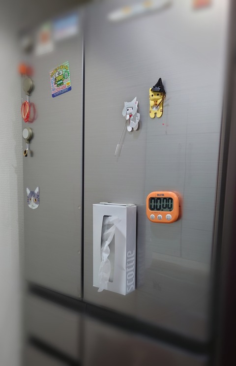 Polish_20230821_200719225