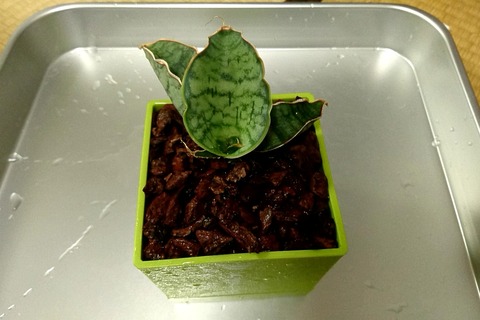 20190803_010145848