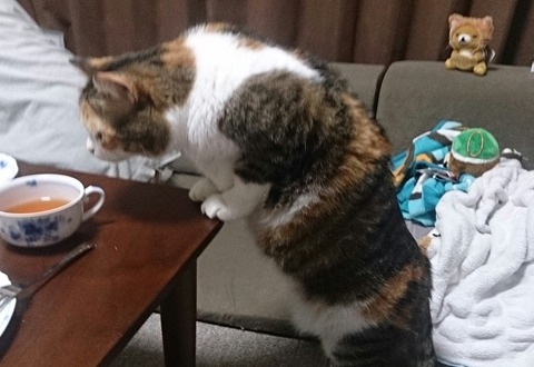 クリップボード03