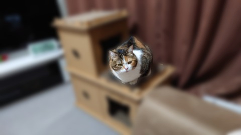 Polish_20221110_224641462