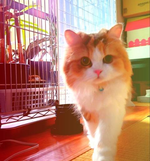 Polish_20210708_212923981