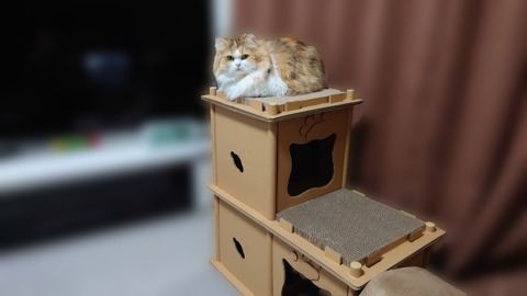 Polish_20221110_224501049