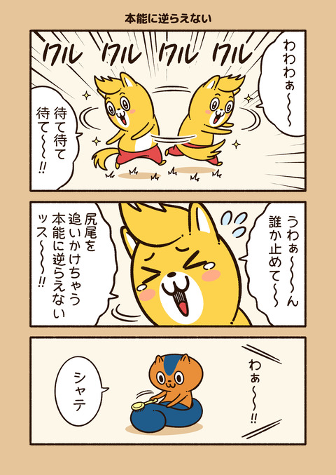 アニワル「本能」_001
