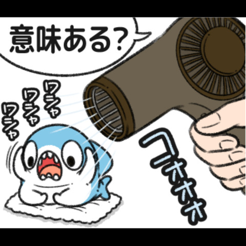 ちいさめの一日22