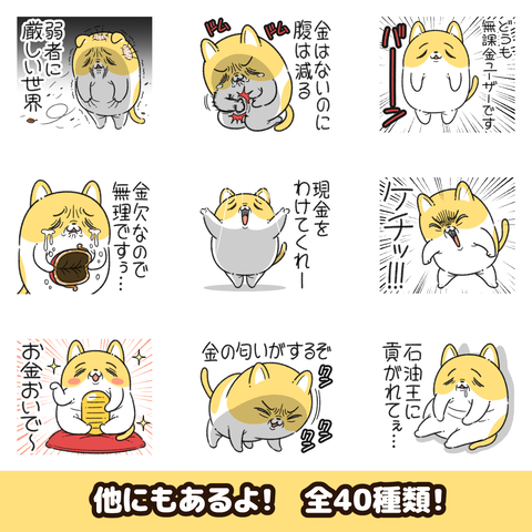 フマンチカン4お知らせ2