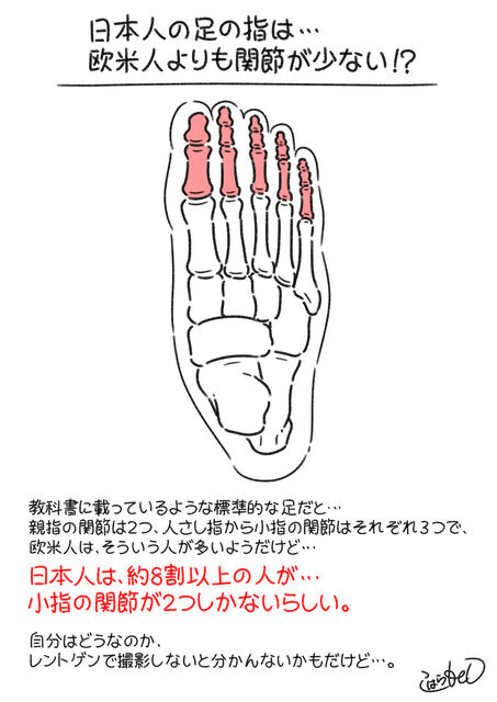 日本人の足の指は関節が少ない コハラモトシ創作日記