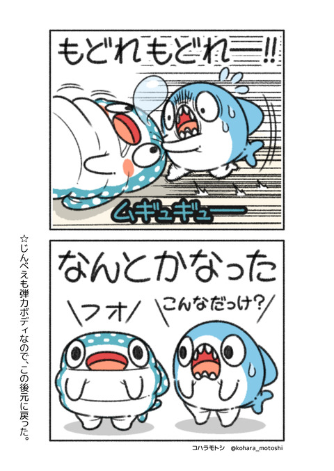 弾力じんべえ3