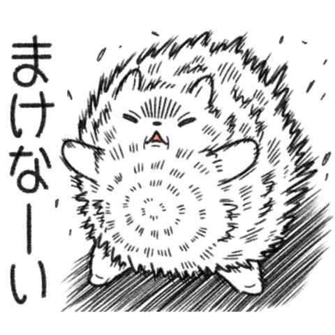 負けないポメラニアン1-1