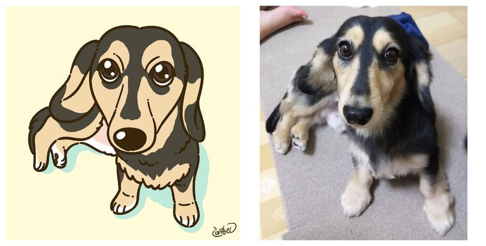 キャラクター化動物イラスト まとめ コハラモトシ創作日記 キャラクター化動物イラスト まとめ コハラモトシ創作日記