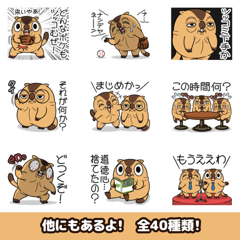 マーモット24お知らせ2