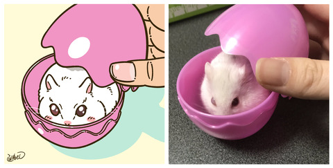 ヒマナッツさん