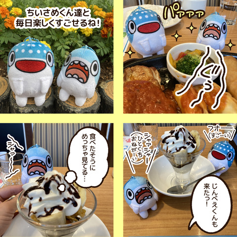 ちいさめぬいぐるみお知らせ3-