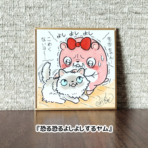 色紙（キョムスター等）4
