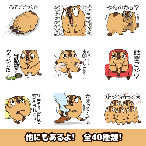 マーモットお知らせ2