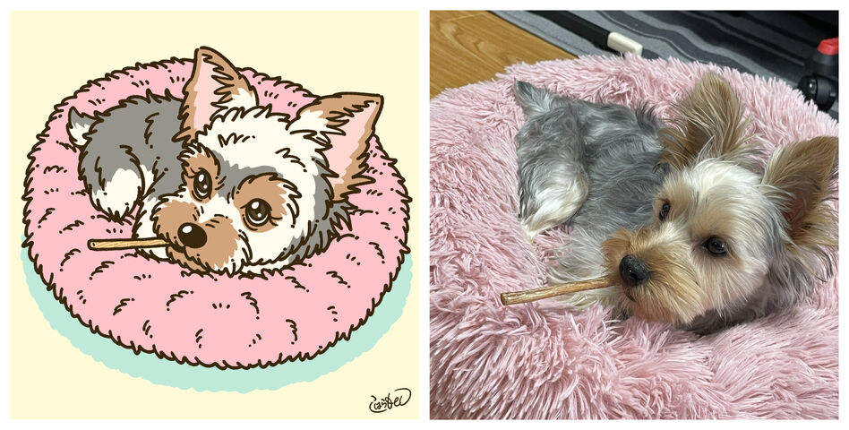 キャラクター化動物イラスト まとめ コハラモトシ創作日記 キャラクター化動物イラスト まとめ コハラモトシ創作日記