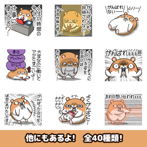 キョムスター29お知らせ2