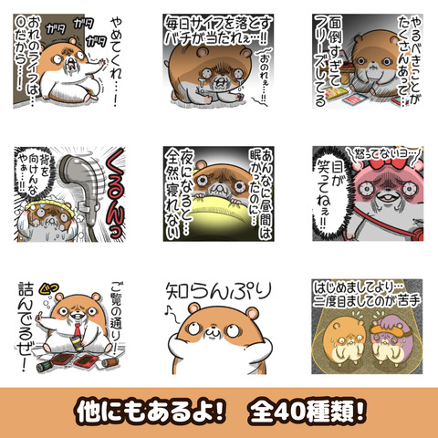 キョムスター21お知らせ2