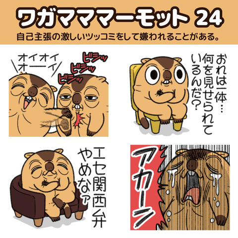 マーモット24お知らせ1