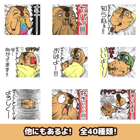 マーモット15お知らせ2