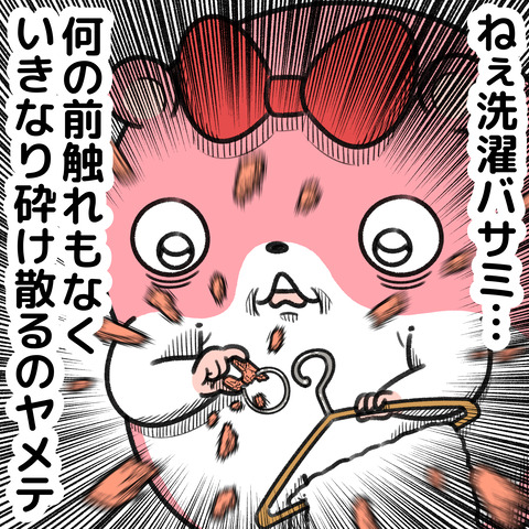 洗濯バサミ