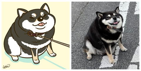 黒柴たろうさん