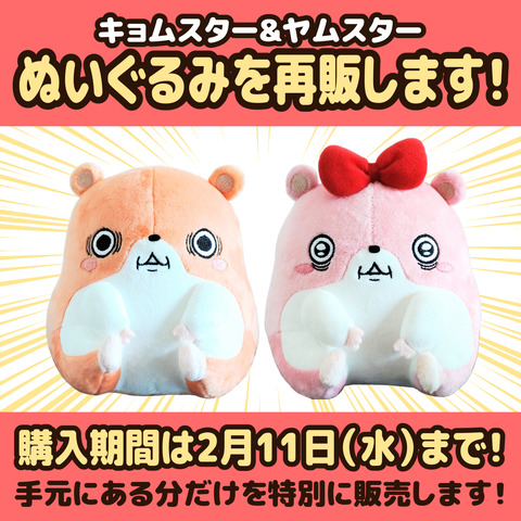 再販のお知らせ1