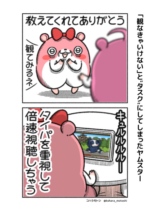 観なきゃ1