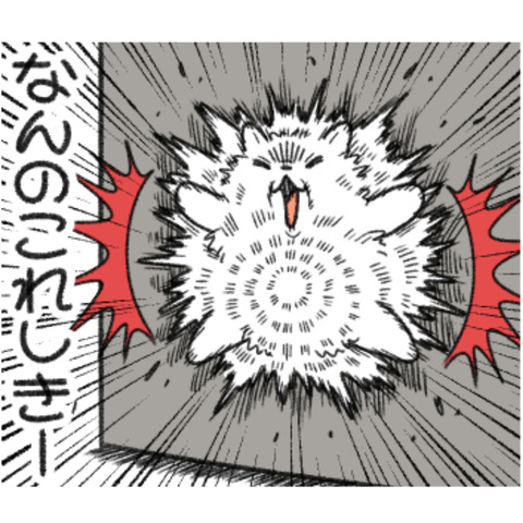 負けないポメラニアン1-4