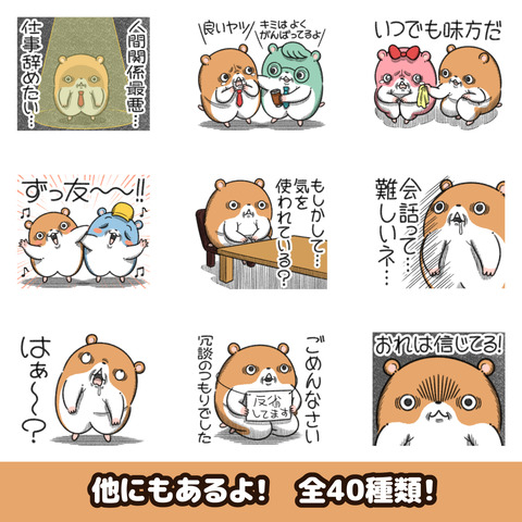 キョムスター12お知らせ2