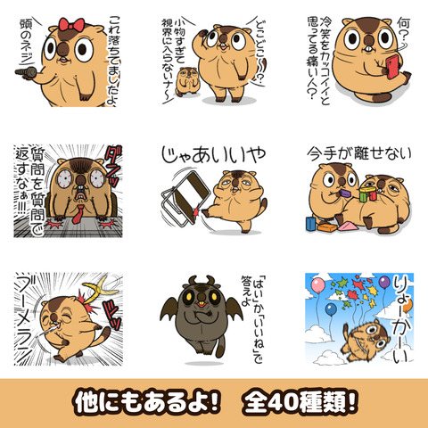 マーモット18お知らせ2