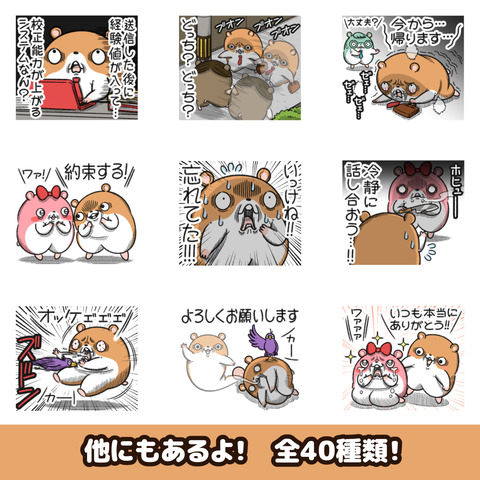 キョムスター24お知らせ2