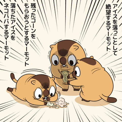 マーモットズ2