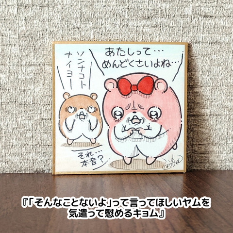 色紙（キョムスター等）8
