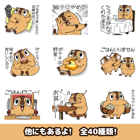 マーモット3お知らせ2