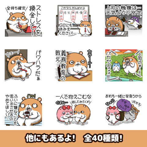 キョムスター20お知らせ2