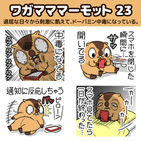 マーモット23お知らせ1
