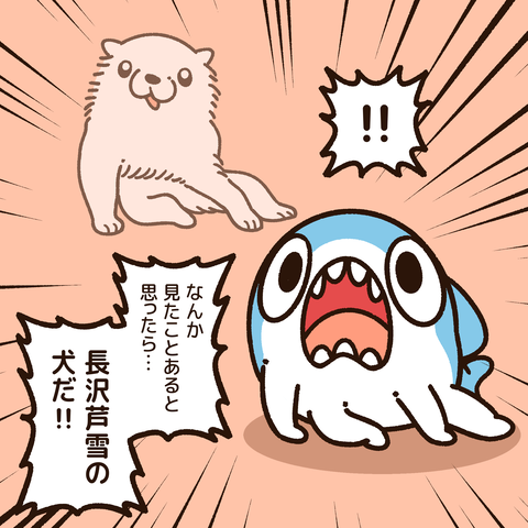 芦雪犬