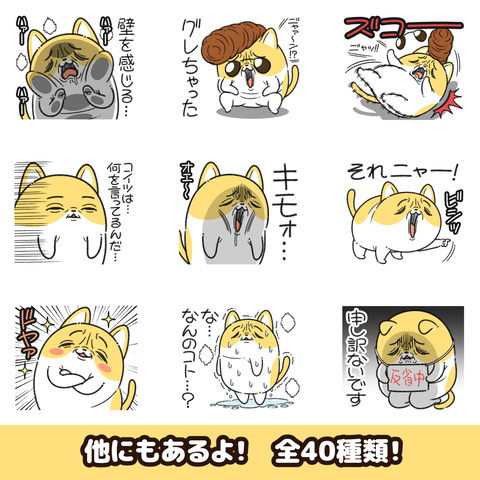 フマンチカン3お知らせ2