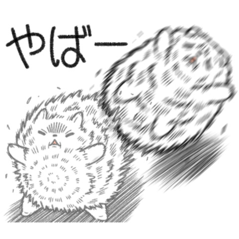 負けないポメラニアン1-2