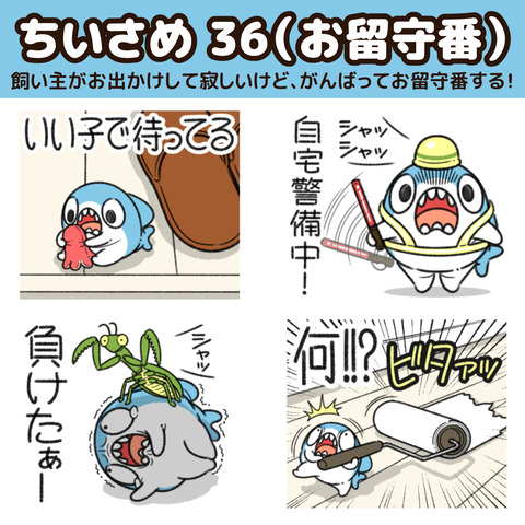 ちいさめ36お知らせ1