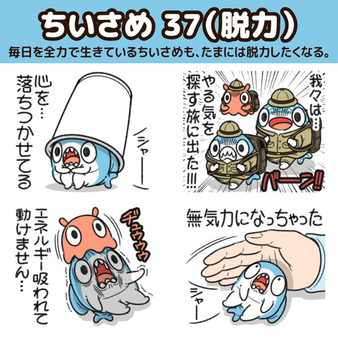 ちいさめ37お知らせ1