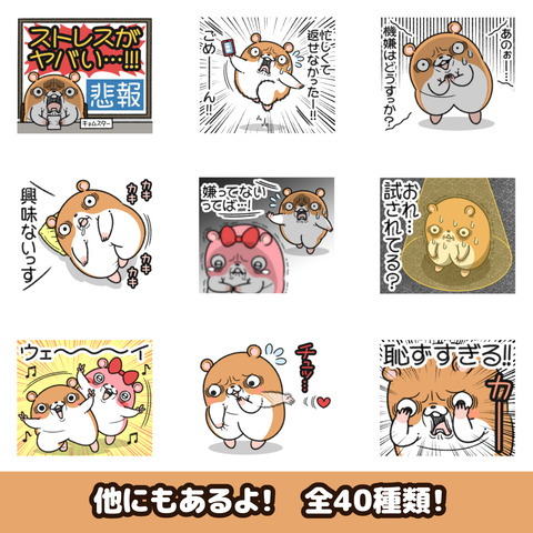 キョムスター33お知らせ2